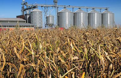 汇总表：11月7日国内各地棉粕价格行情