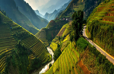 汇总表：11月7日国内主要地区花生价格行情