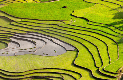 11月7日欧洲市场豆油报价
