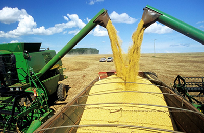 11月7日浙江贸易商棕榈粕价格行情