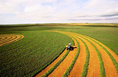 10月乌克兰大麦出口环比下降16.2%，年初以来出口同比下降54.9%