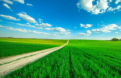 2026年俄罗斯的粮食出口配额可能达到2000万吨