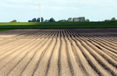 汇总表：11月7日国内部分产区苹果价格行情