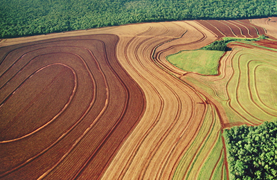 11月7日阿根廷葵花油出口FOB报价