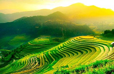 汇总表：11月7日国内各地国产DDGS价格行情