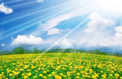 11月7日国内生猪养殖利润统计