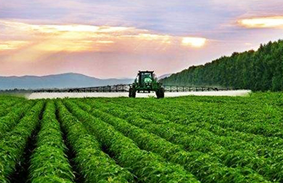 汇总表：11月7日国内赖氨酸价格行情