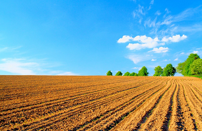 汇总表：11月7日国内各地粉壳鸡蛋价格行情