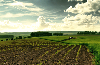 11月7日华北主要地区豆粕成交情况