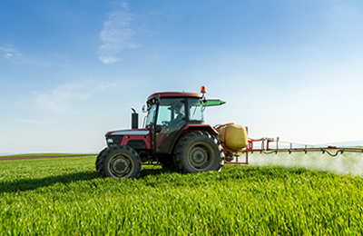 11月6日国内高粱市场交易日评：基本稳定，个别下跌