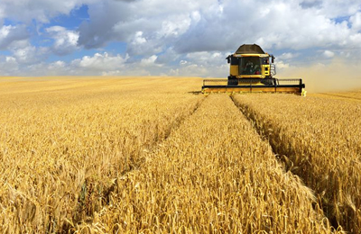 汇总表：11月7日国内各地三级豆油及毛豆油价格行情