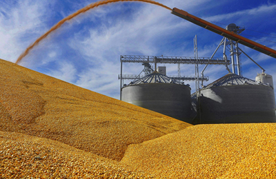 11月7日马来西亚棕榈油到华南进口利润情况