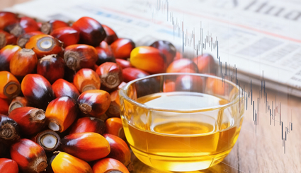 国际棕油利多阶段出尽承压回落，国内油脂节前资金离场延续弱势