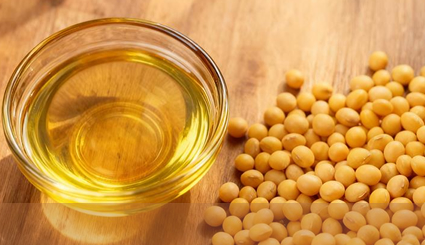 2026年春节后国内三大油脂高开之后，未来路在何方？